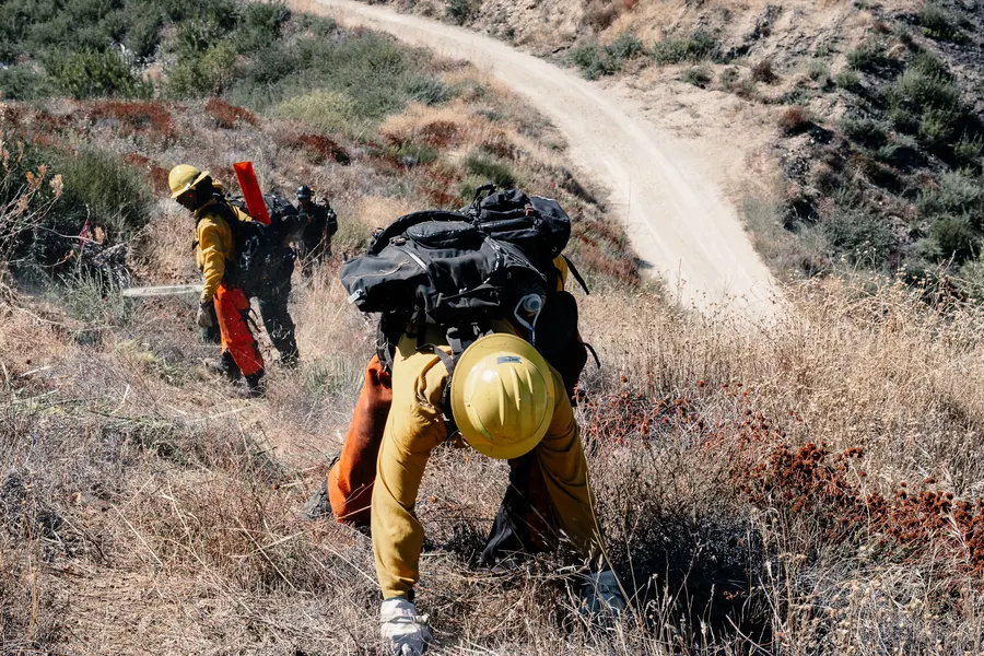 Wildland firefighters hiking a steep, brush-covered hillside